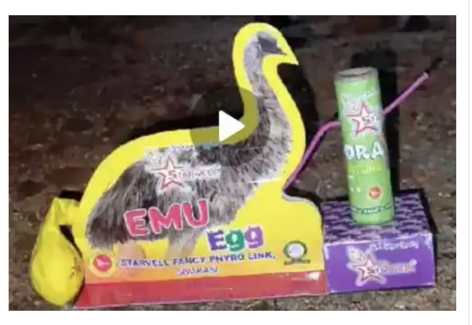 Emu Kozhi (New)